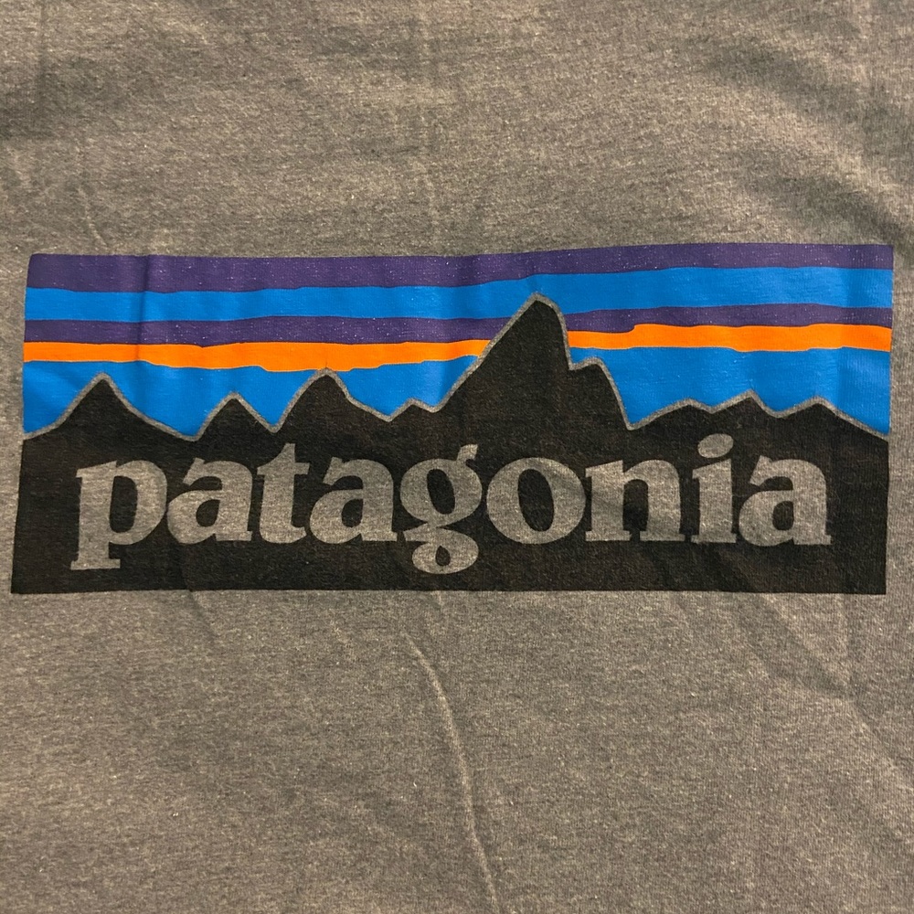 Men’s Patagonia long sleeve shirt